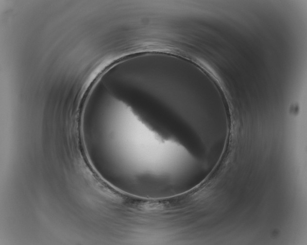 X0000112881291200908211441