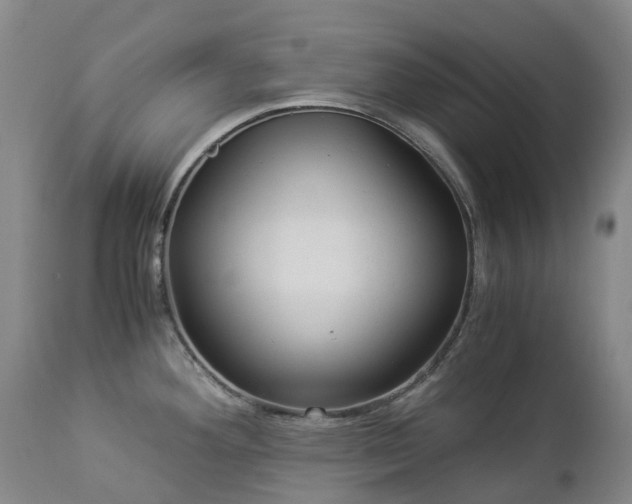 X0000112881292200908211441