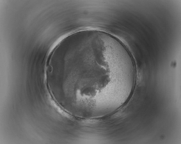 X0000112881294200908211441