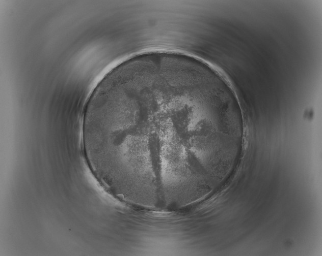 X0000112881295200908211441