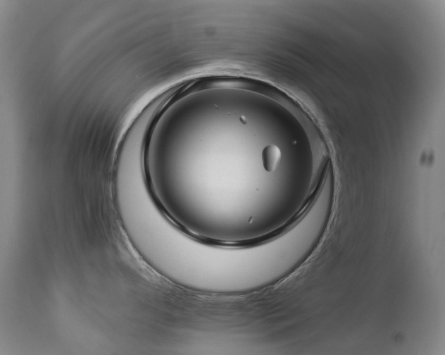 X0000112881296200908211441