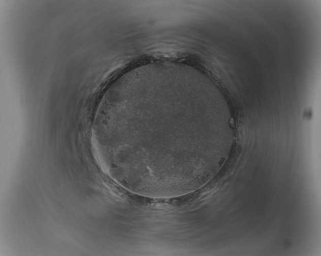 X0000112881297200908211440