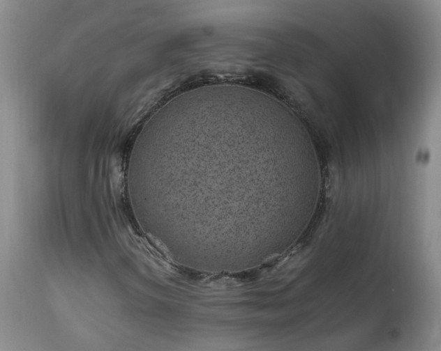 X0000112881298200908211440