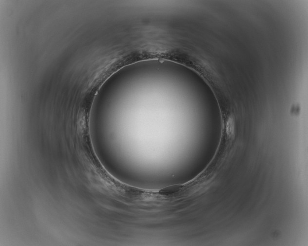 X0000112881299200908211440