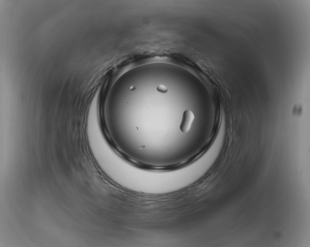 X0000112881300200908211440