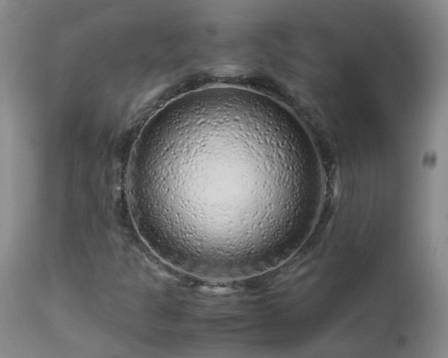 X0000112881301200908211440