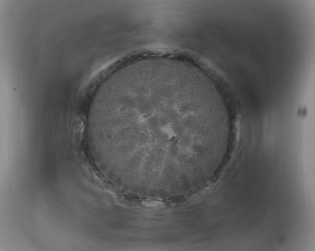 X0000112881302200908211440