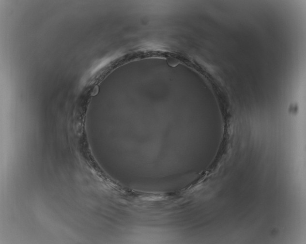 X0000112881303200908211440