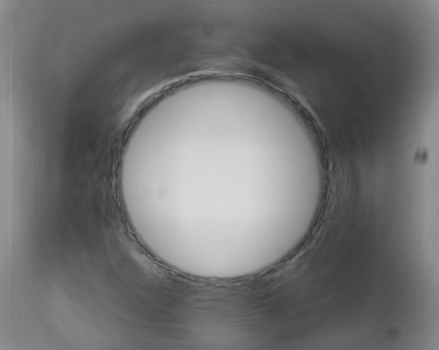 X0000112881304200908211440