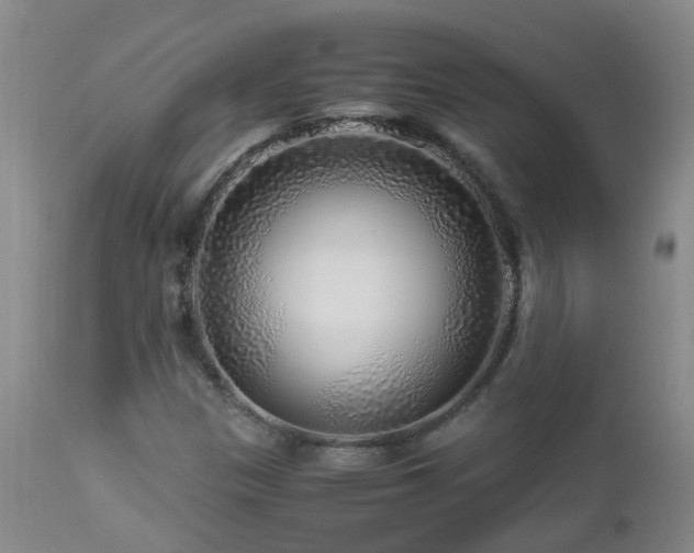 X0000112881305200908211440