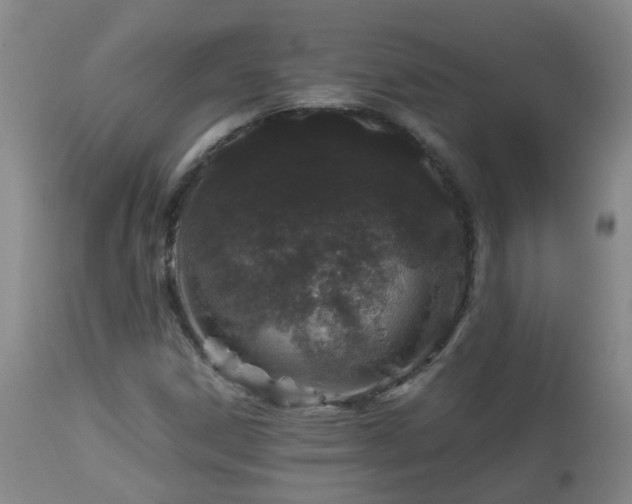 X0000112881306200908211440