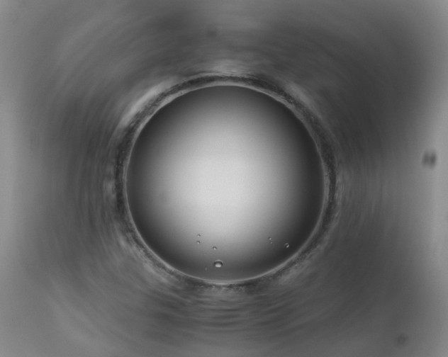 X0000112881307200908211440