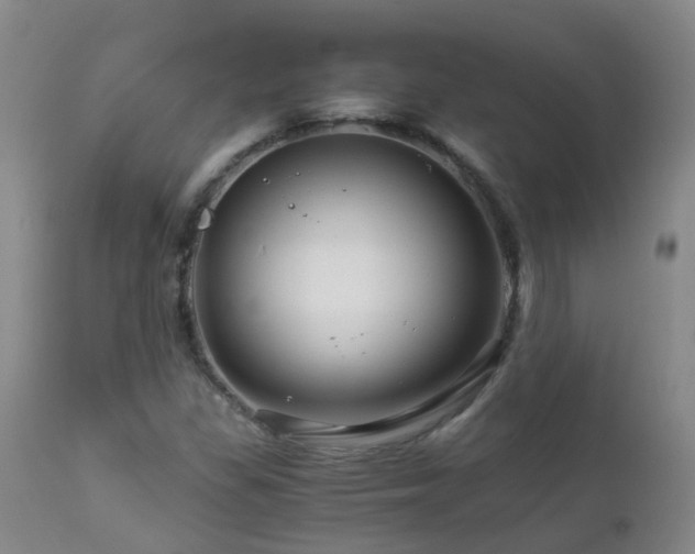 X0000112881309200908211441