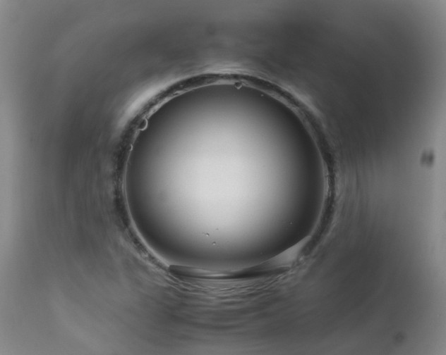 X0000112881311200908211441