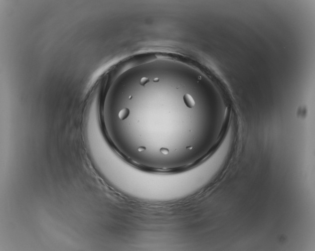 X0000112881312200908211441