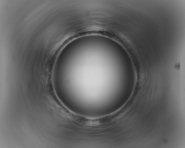 X0000112881313200908211441