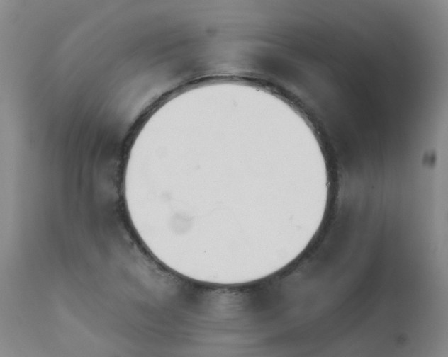 X0000112881314200908211441