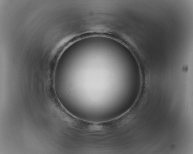 X0000112881315200908211441