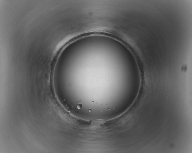 X0000112881316200908211441