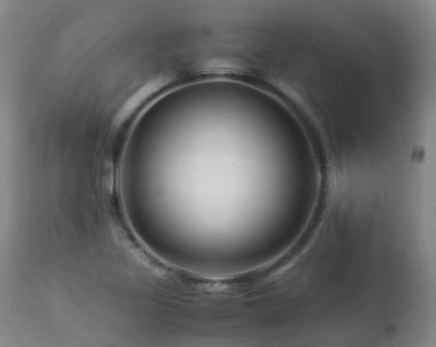 X0000112881317200908211441