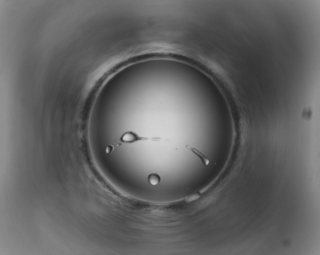 X0000112881318200908211441