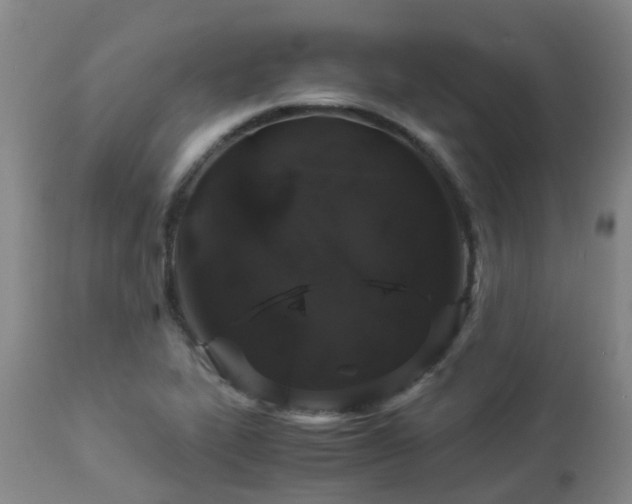 X0000112881319200908211441