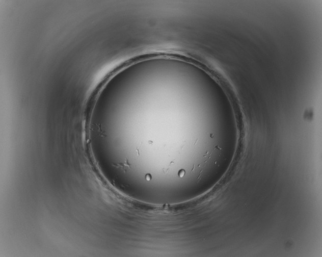 X0000112881320200908211441