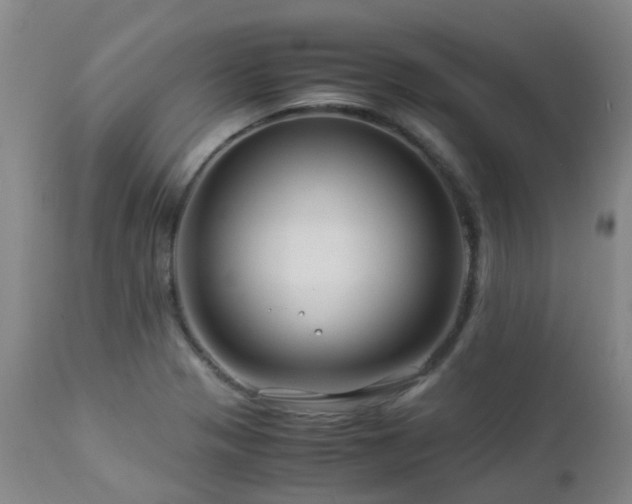 X0000112881321200908211441