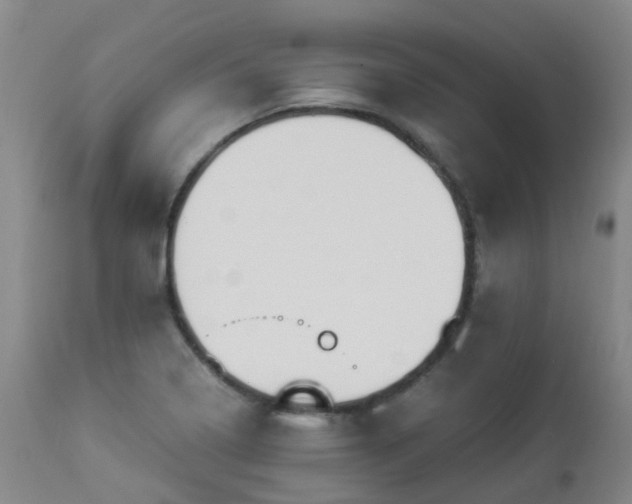 X0000112881322200908211441