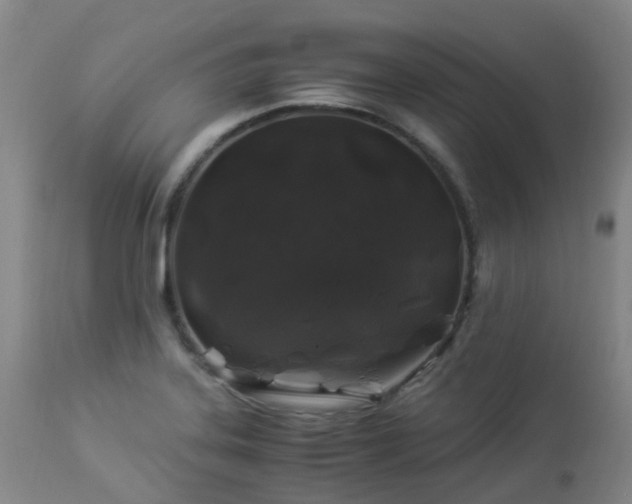 X0000112881323200908211441