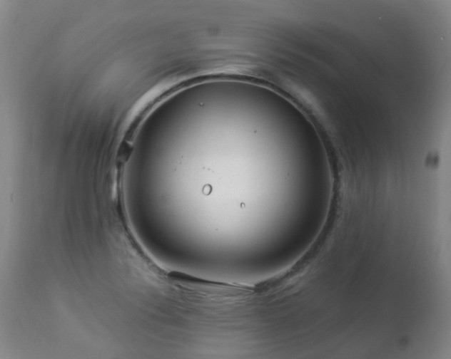 X0000112881324200908211441