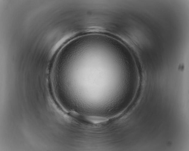 X0000112881325200908211441