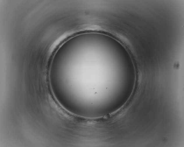 X0000112881326200908211441