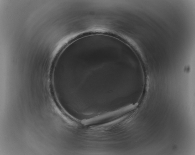 X0000112881327200908211441