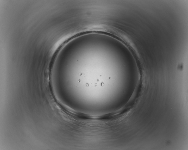 X0000112881328200908211441