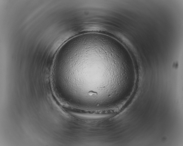 X0000112881329200908211441