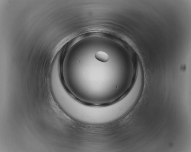 X0000112881330200908211441