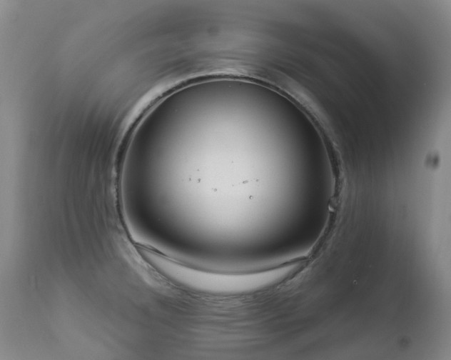 X0000112881332200908211441