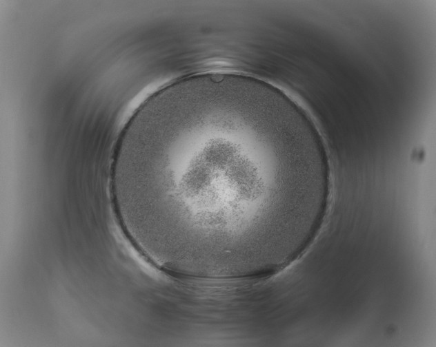 X0000112881333200908211441