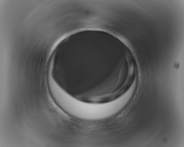 X0000112881334200908211441