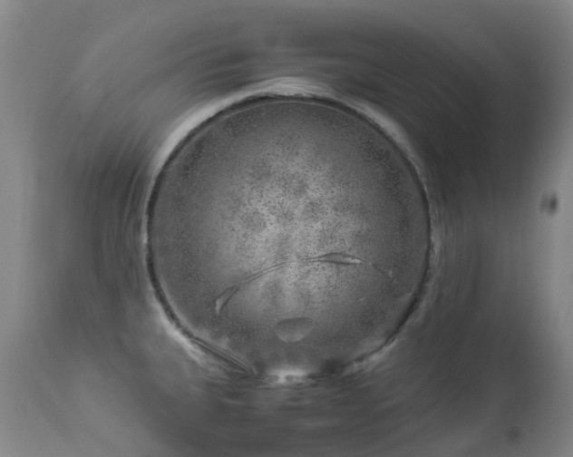 X0000112881335200908211441