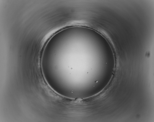 X0000112881336200908211441