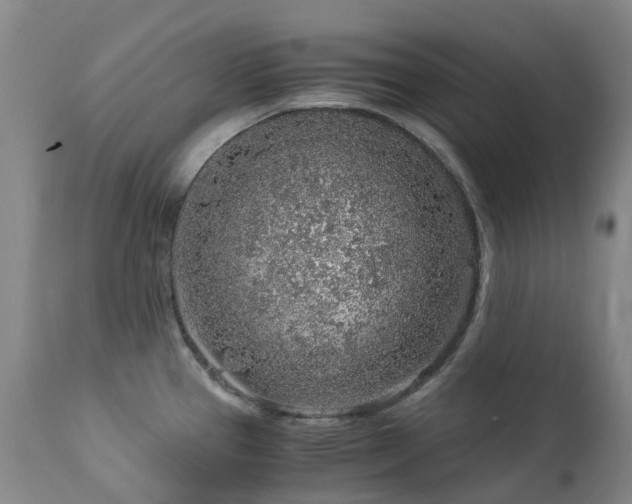 X0000112881337200908211441