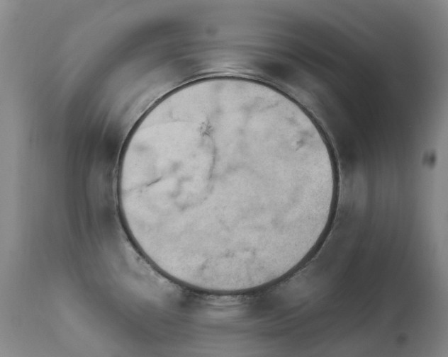 X0000112881338200908211441