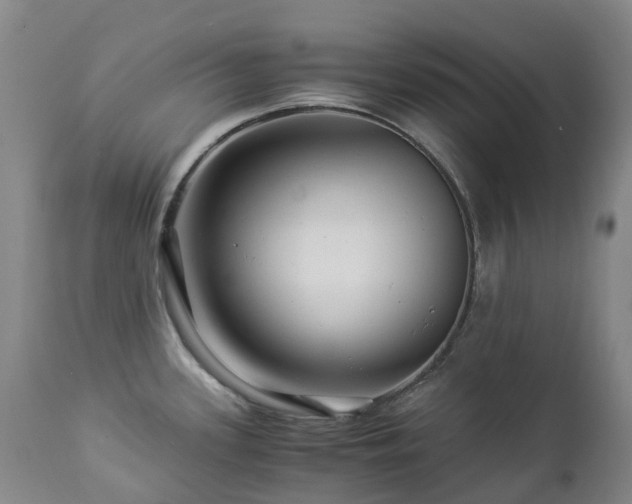 X0000112881339200908211441