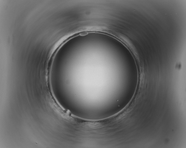 X0000112881340200908211441