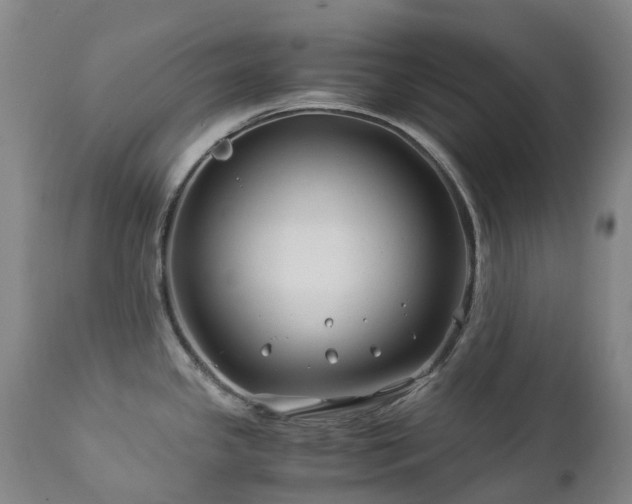 X0000112881341200908211441