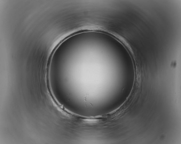 X0000112881343200908211441