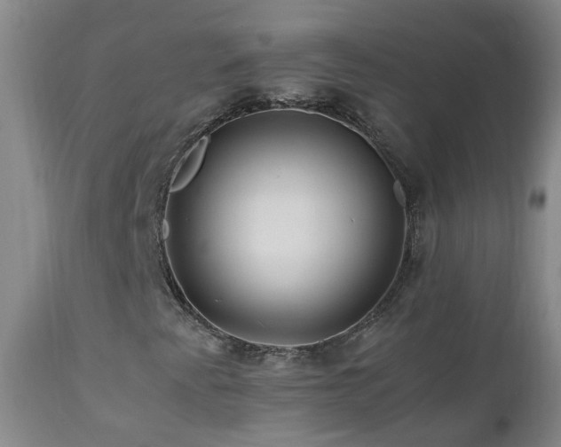 X0000112881345200908211440