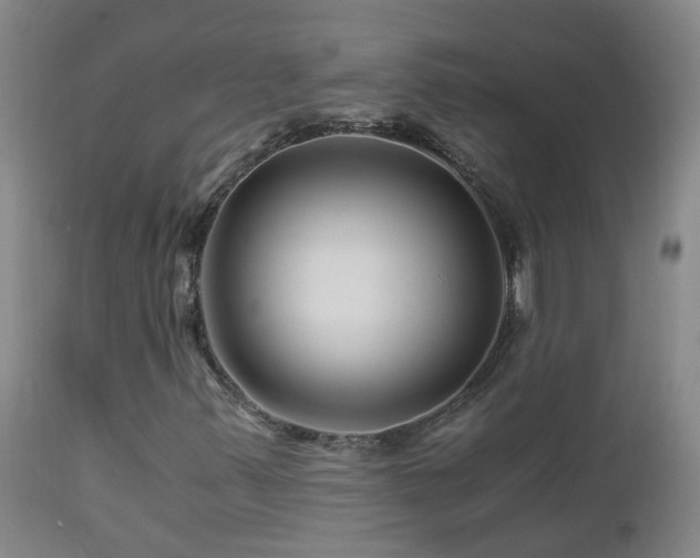 X0000112881347200908211440